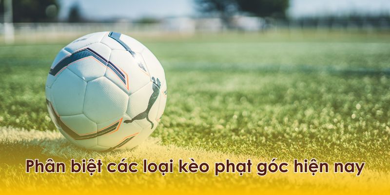 Phân biệt các loại kèo phạt góc.